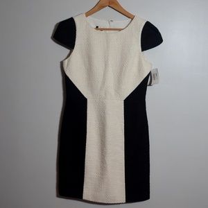 4.collective NWT Boucle Color block Dress 8